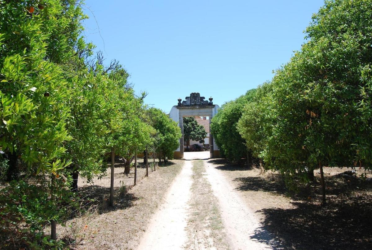 Quinta Do Casalinho - Benfica Do Ribatejo Villa Buitenkant foto