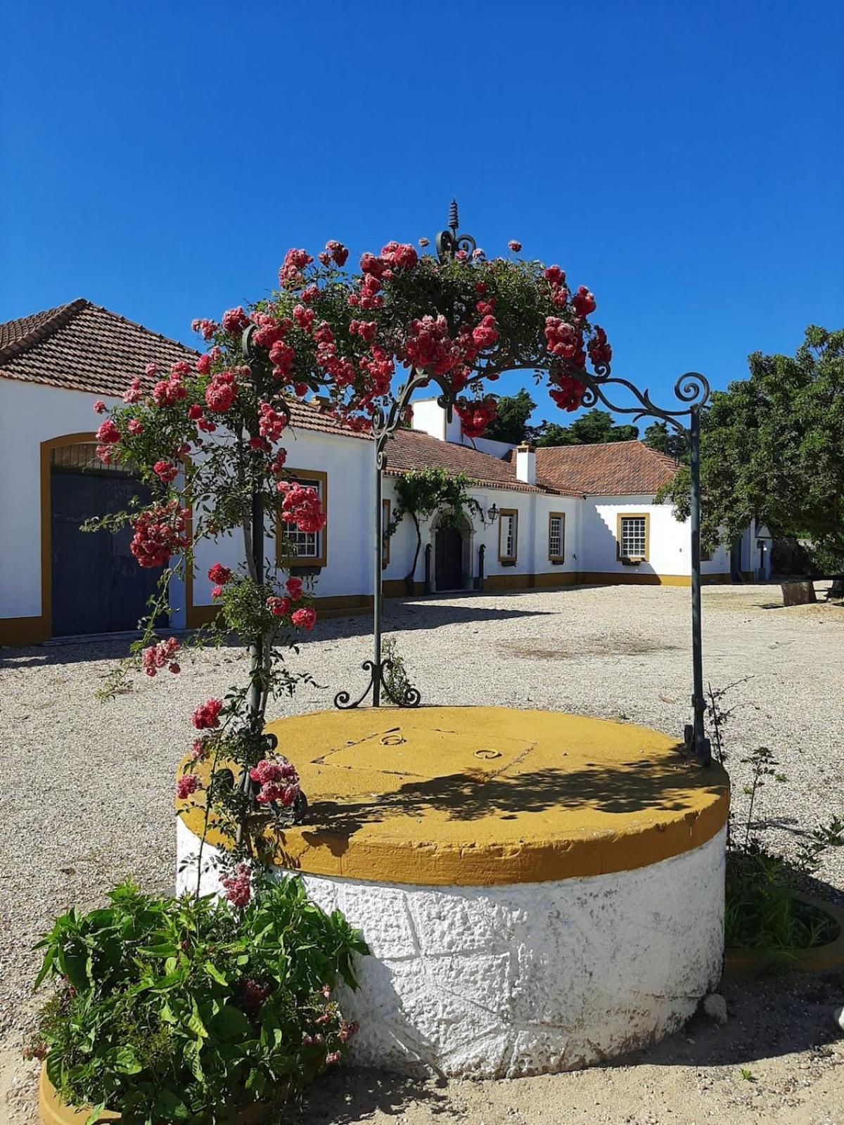 Quinta Do Casalinho - Benfica Do Ribatejo Villa Buitenkant foto